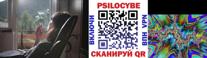 что такое наркотик  Бирюч  маркетплейс как зайти  Галлюциногенные грибы Psilocybine cubensis 